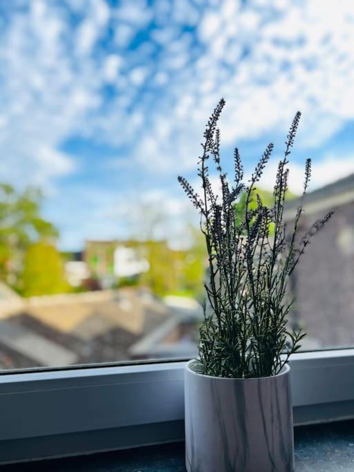 Charmant Petit Appartement. Лиеж Екстериор снимка