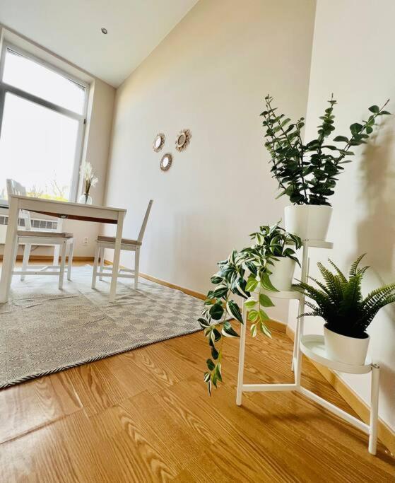 Charmant Petit Appartement. Лиеж Екстериор снимка